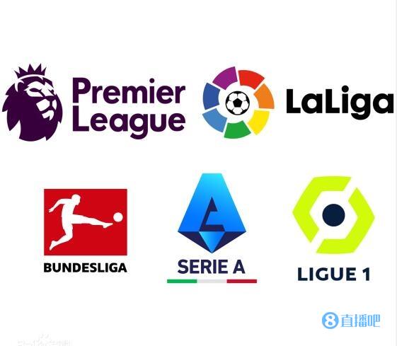 和高营养的 和高营养的